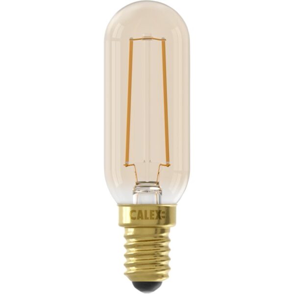Koop nu: Lichtbron Buislamp Goud E14 Recht