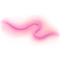 Koop WiZ Tunable White & Color Outdoor Led-strip 5m - Wit - 8720169074859